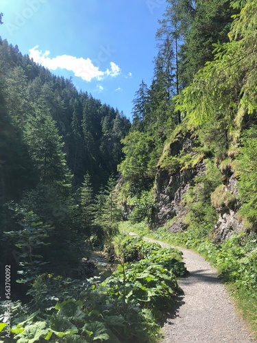 river in the mountains