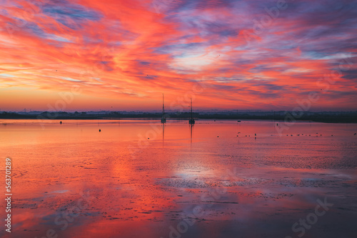 Cuadro en lienzo The Blackwater Estuary at Maldon, Essex at Dawn