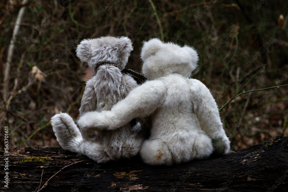Two teddy bears sitting together Two teddy bears sitting together