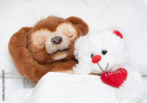 Valentine's day concept. Love. Two funny brown and white teddy bears with a red heart lie in bed on a white bed and hug.