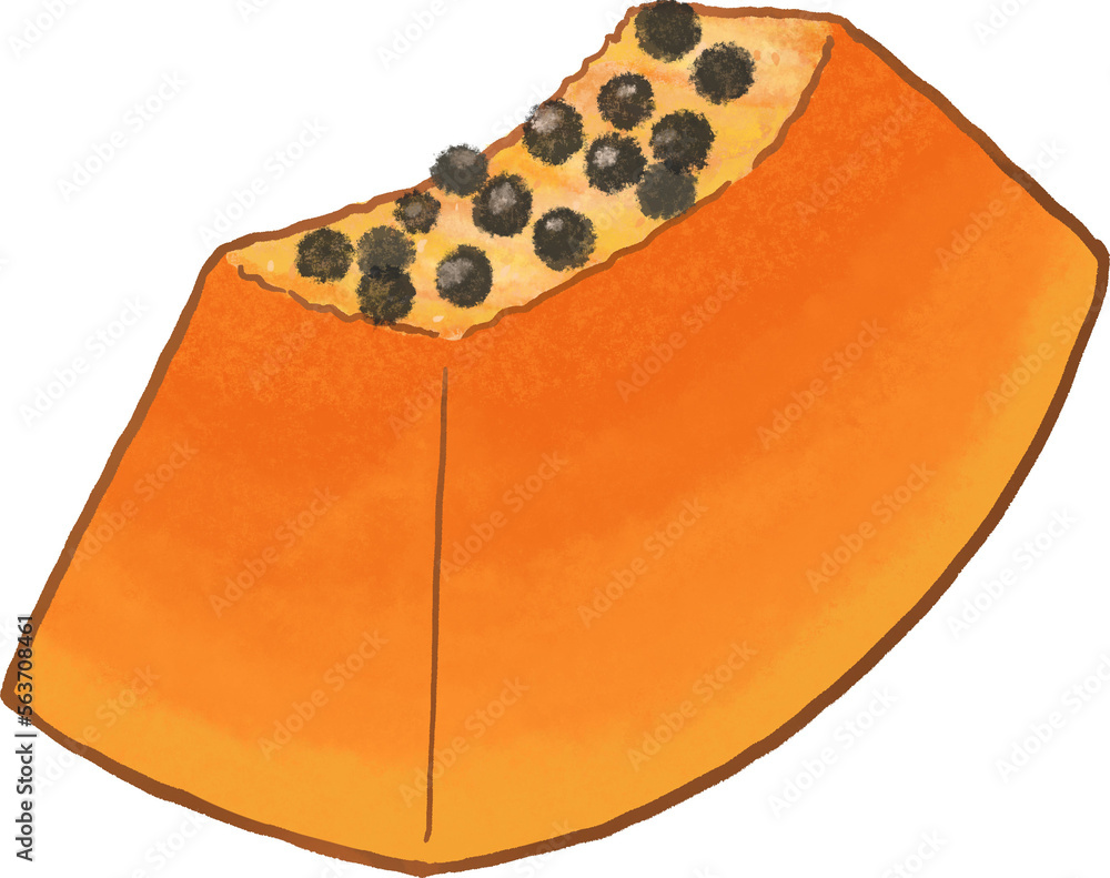 Fototapeta premium piece of papaya with seeds illustration