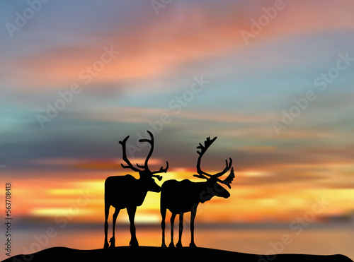 two deers silhouettes at bright sunset