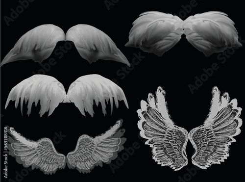 five grey wings couples isolated on black background