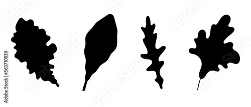 Leaf lettuce silhouettes. Black image set. Icon ingredients. Salad. Plants leaves.