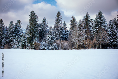 Winterlandschaft im Allgäu, Waldrand