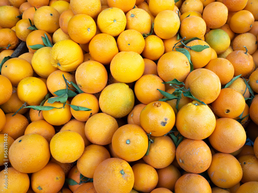 Bulk oranges for sale in the market Bulk oranges for sale in the market