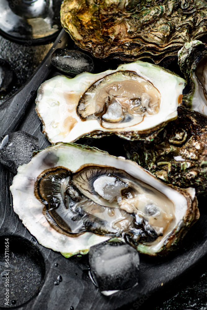 Fresh oysters on a cutting board. Fresh oysters on a cutting board.