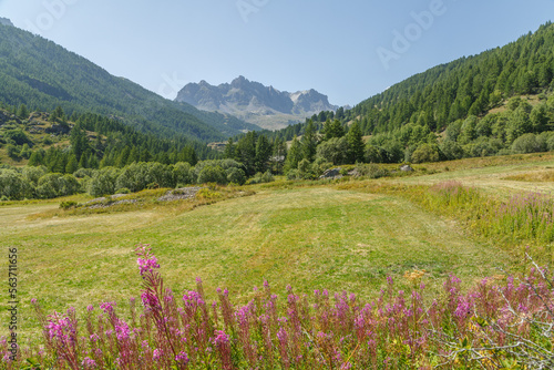 Vallée de la Clarée dans les Hautes-Alpes, France, en été