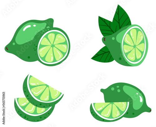 Green lime lemon slice citrus cutting chopping fruits isolated set. Vector design graphic illustration