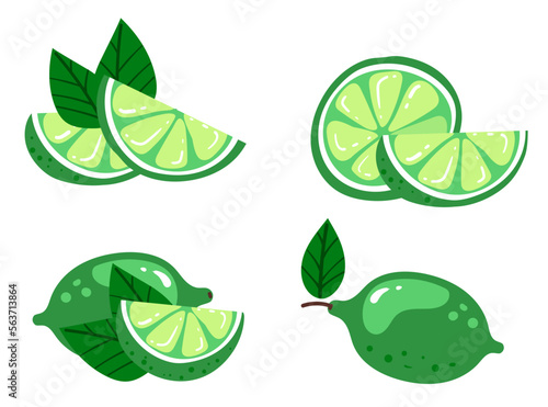 Green lime lemon slice citrus cutting chopping fruits isolated set. Vector design graphic illustration