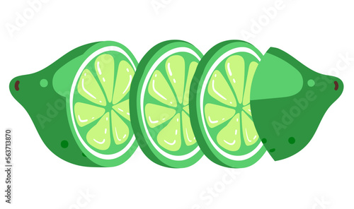 Green lime lemon slice citrus cutting chopping fruits isolated set. Vector design graphic illustration