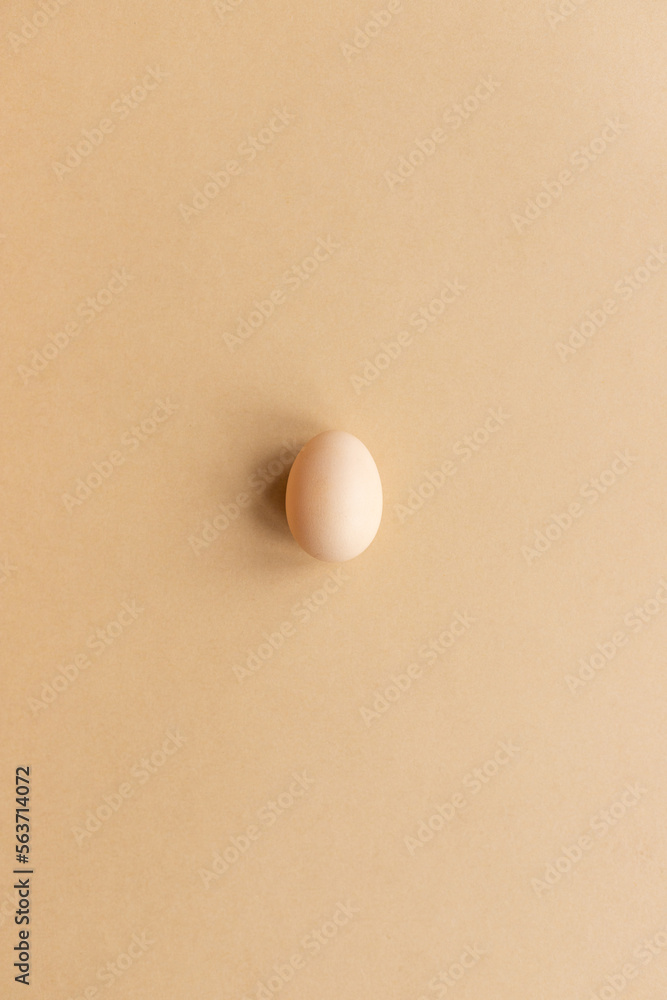 Closeup of free-range organic egg on a neutral background Closeup of free-range organic egg on a neutral background