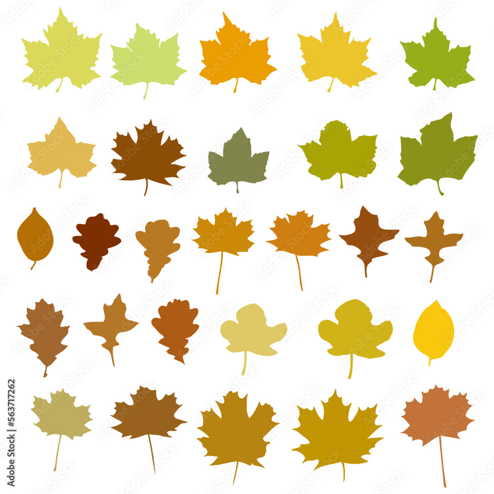 Autumn leaves silhouette collection. Set of autumn leaves silhouette Autumn leaves silhouette collection. Set of autumn leaves silhouette