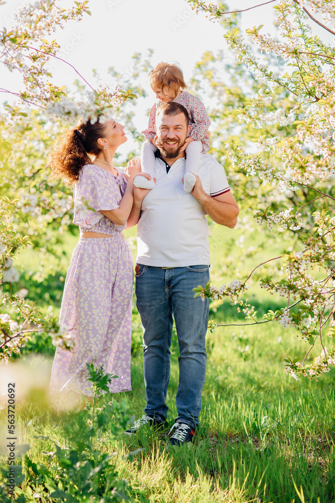 a mom and a dad with a baby daughter in a blooming spring garden. happy family. a mom and a dad with a baby daughter in a blooming spring garden. happy family.