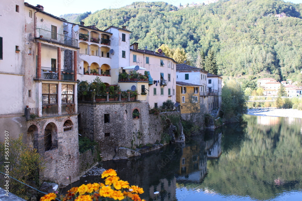 A view of an Italian town in the province of Tuscany, Bagni di Lucca. Houses on the river with a background of treas on a mountain.