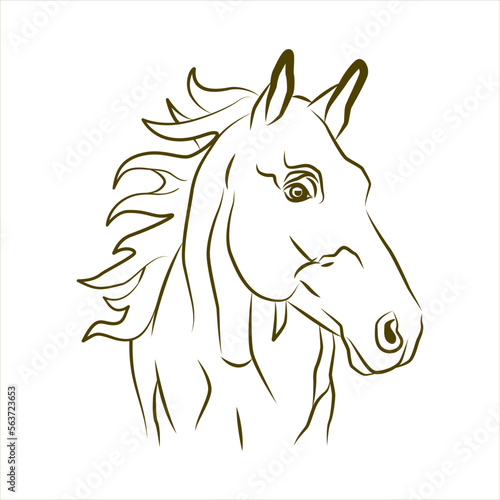  Sketch of a horse's head with a flowing mane. Horse head vector silhouette isolated on white.