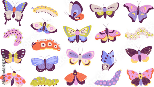 Colorful doodle butterfly and caterpillars. Moth, cartoon floral garden insects. Amazing isolated butterflies, isolated flying racy insect vector set