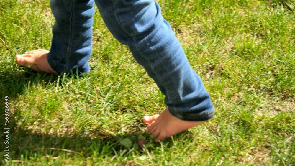 Closeup of barefoot baby in jeans walking on green grass lawn. Kids outdoors, children in nature, baby playing outside Closeup of barefoot baby in jeans walking on green grass lawn. Kids outdoors, children in nature, baby playing outside
