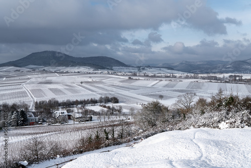 Weinberge im Winter an der Südlichen Weinstrasse