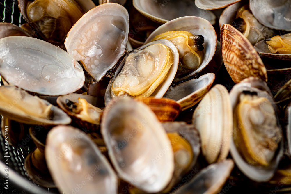 Fresh vongole. Macro background. Texture vongole. Fresh vongole. Macro background. Texture vongole.