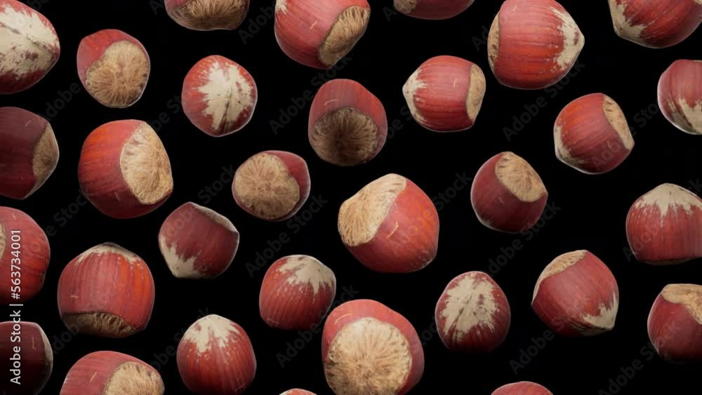 Vidéo Stock Looping animation featuring a cloud of Hazelnuts floating ...