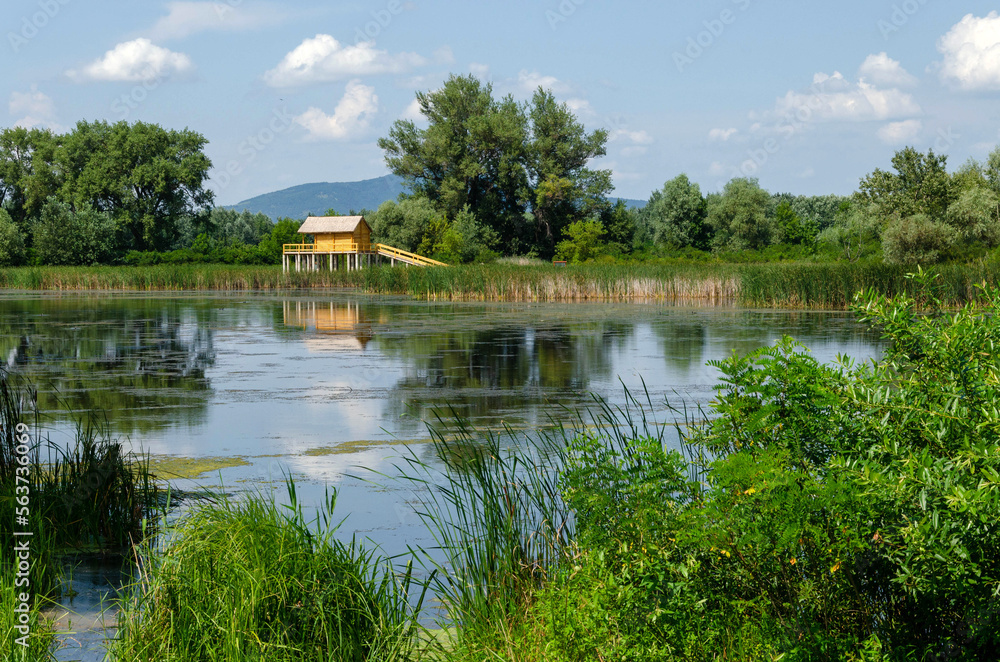 Summer landscape on the Tisza backwater, Hungary. Wooden stilt house on the waterfront. Green trees and bushes around the water. Hungarian countryside. Warm weather. Clear blue sky with some clouds.