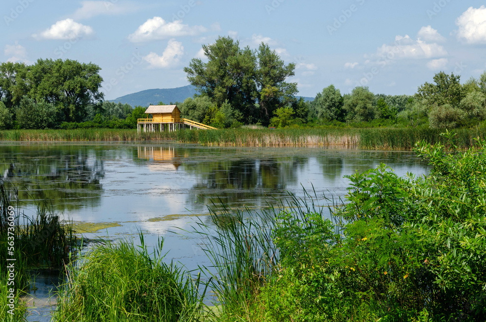 Summer landscape on the Tisza backwater, Hungary. Wooden stilt house on the waterfront. Green trees and bushes around the water. Hungarian countryside. Warm weather. Clear blue sky with some clouds. Summer landscape on the Tisza backwater, Hungary. Wooden stilt house on the waterfront. Green trees and bushes around the water. Hungarian countryside. Warm weather. Clear blue sky with some clouds.