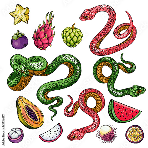 snakes and juicy fruits, colorful snakes and tropical fruits, dragon fruit, mangosteen, papaya, carambola, passion fruit, watermelon. Sketch for printing on fabric, especially bag, accessories and des