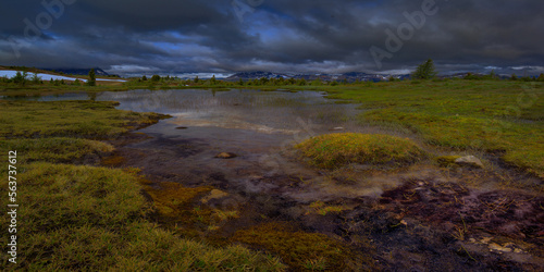 Grey morning at a mountain pond