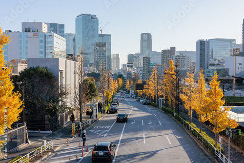代々木から渋谷方面を望む