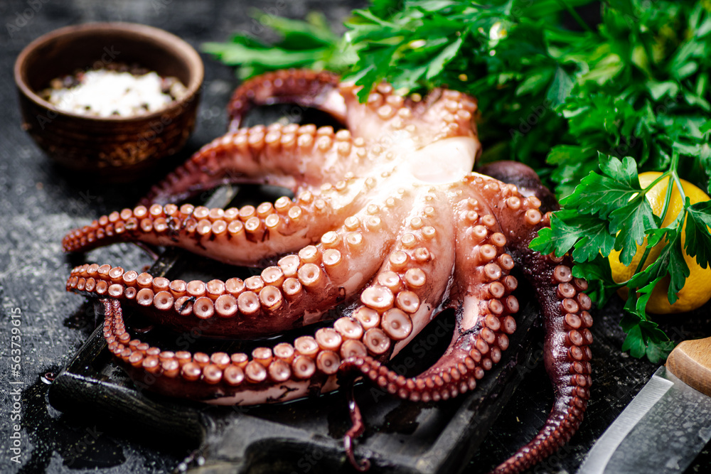 Fototapeta premium Tentacles of a fresh octopus on a cutting board. 