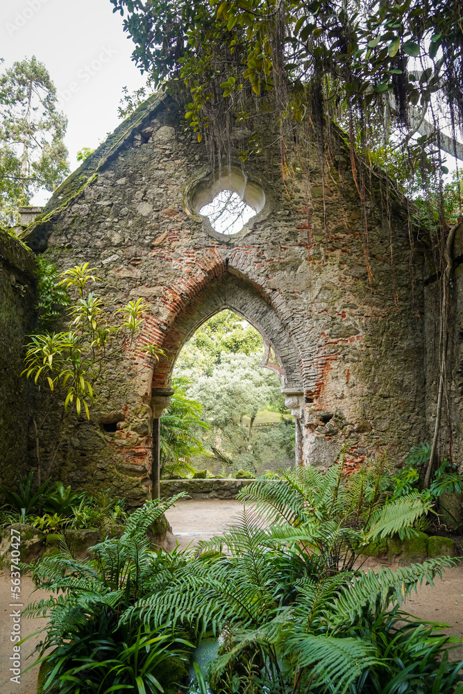 Alte Ruine einer verlassenen Kirche im Wald