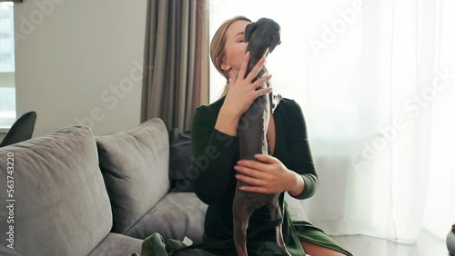 Orbit shot: Young woman petting and showing love to her Italian Greyhound dog and being licked at home photo