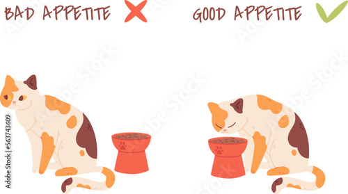 Cat appetite. Picky to feed kitten, bad or good pets appetites diagram, home animal diet cats want eating fodder bowl, hungry pet concept feeding problem cute vector illustration
