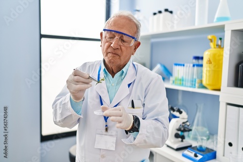 Senior man wearing scientist uniform holding sample plant with tweezers at laboratory