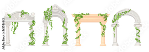 Ivy arches. Historic gardens arc with marble pillar, wedding gate old castle entrance, arch with vines green creeper portal in rome palace or temple ingenious vector illustration