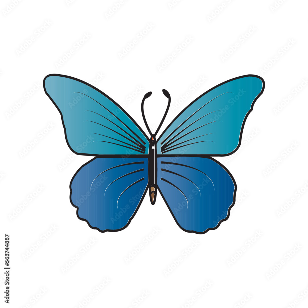 Fototapeta premium butterfly icon