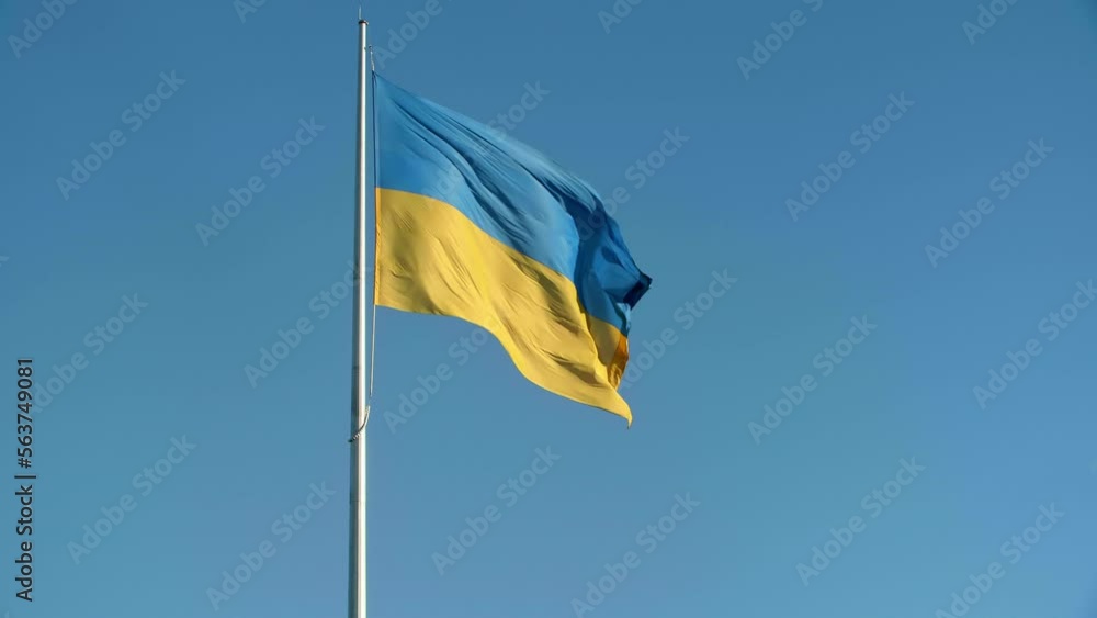 Ukrainian national flag on flagpole stock in the blue, sunny sky. High quality 4k footage. Blue cloudless peaceful sky. Ukrainian blue and yellow national flag fluttering in the sky. Ukrainian national flag on flagpole stock in the blue, sunny sky. High quality 4k footage. Blue cloudless peaceful sky. Ukrainian blue and yellow national flag fluttering in the sky.