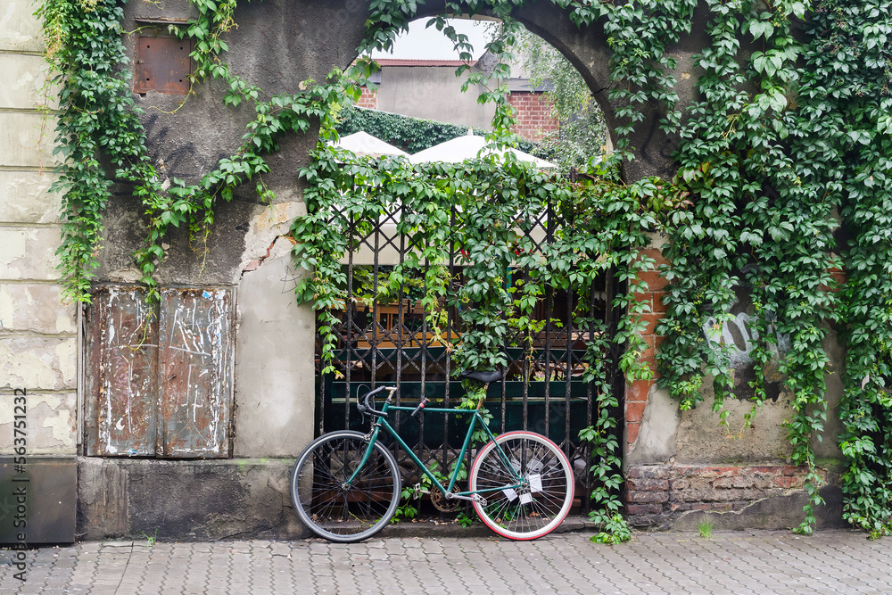 Bike parked in front of a gate overgrown with green leaves, Kazimierz District, Krakow, Poland