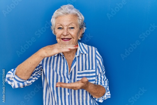 Senior woman with grey hair standing over blue background gesturing with hands showing big and large size sign, measure symbol. smiling looking at the camera. measuring concept.
