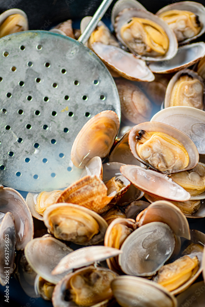 Fresh vongole. Macro background. Texture vongole. Fresh vongole. Macro background. Texture vongole.