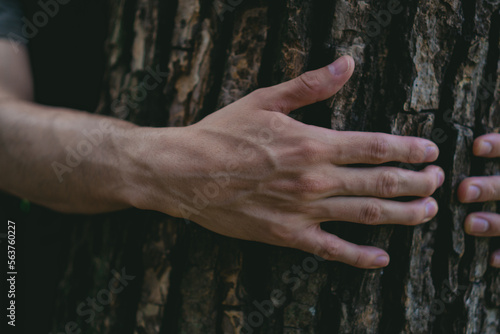 The hand of a young environmentalist man hugging a tree trunk.