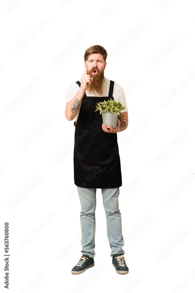 Young adult redhead gardener man holding a plant full body isolated having an idea, inspiration concept. Young adult redhead gardener man holding a plant full body isolated having an idea, inspiration concept.