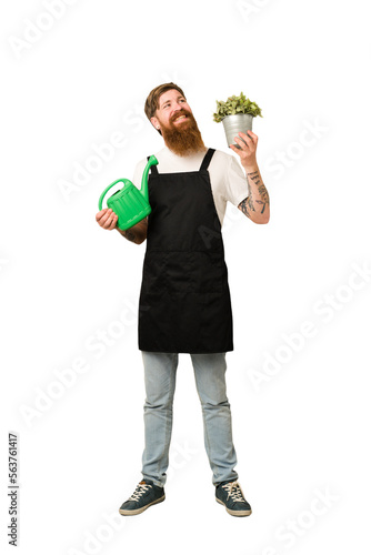 Tablou pe pânză Adult gardener man holding a plant full body cut out isolated