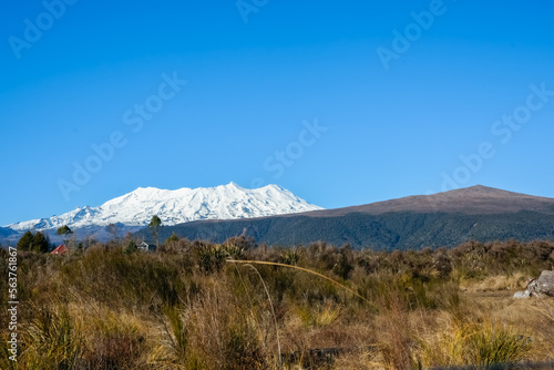 Snow capped Mount Ruapehu beyond bush clad landscape