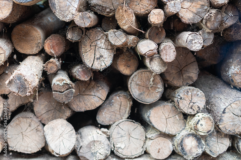 Stack of old logs. Wood material for heating prepare for burn in cold winter. Stack of old logs. Wood material for heating prepare for burn in cold winter.