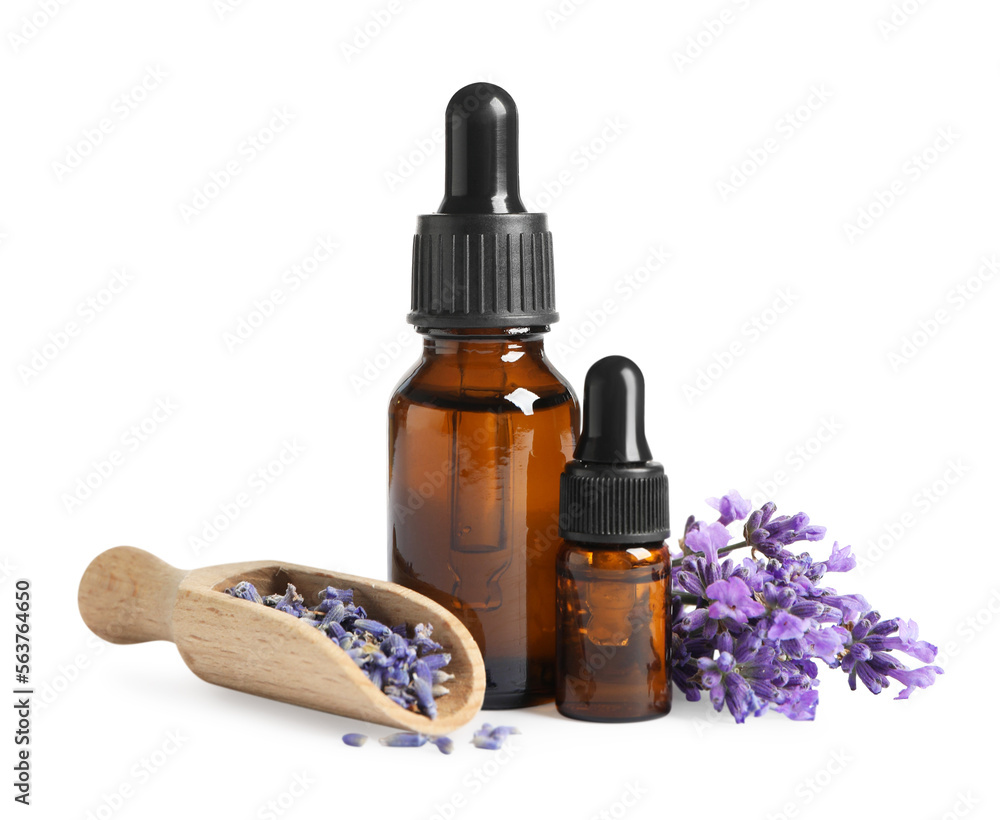 Bottles of essential oil and lavender flowers on white background - obrazy, fototapety, plakaty 