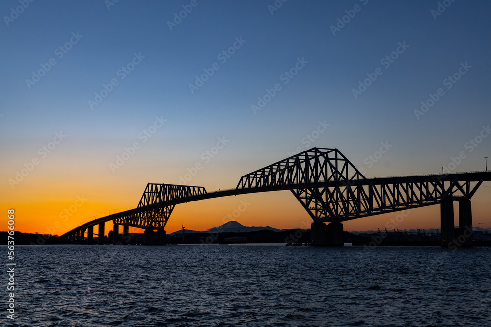 Obraz premium 東京ゲートブリッジ