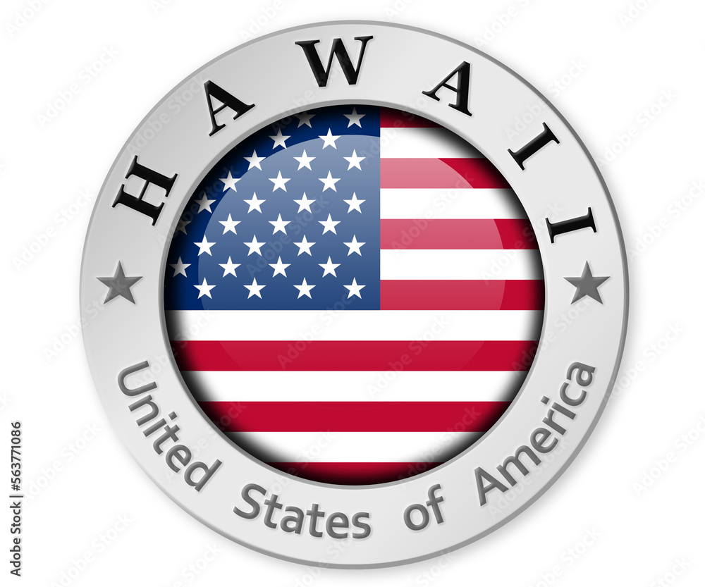 Silver badge with Hawaii and USA flag Silver badge with Hawaii and USA flag