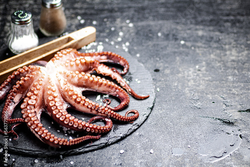 Fresh octopus on a stone board. 